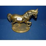 A heavy brass Horse, 9'' tall.