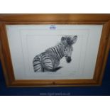 A signed Print of a zebra by Kevin Hayler.