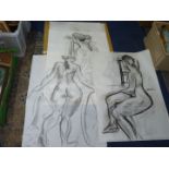 Five life studies from the studio of William Hammond; four 23" x 33" and one 22" x 30" approx.