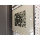 A surrealist framed etching signed P Simpson, '66.