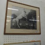 A framed and glazed picture of a horse and horse trainer
