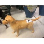 A Beswick Labrador