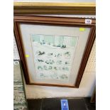 A framed Louis Wain print