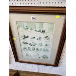 A framed Louis Wain print