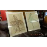 Two framed and glazed ballet pictures