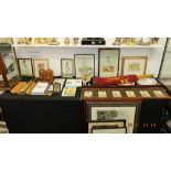 A large collection of cricket memorabilia