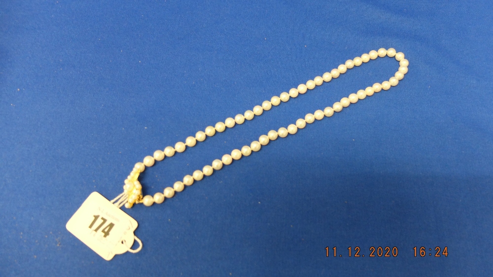 14ct gold clasp pearl necklace,