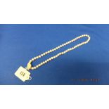 14ct gold clasp pearl necklace,