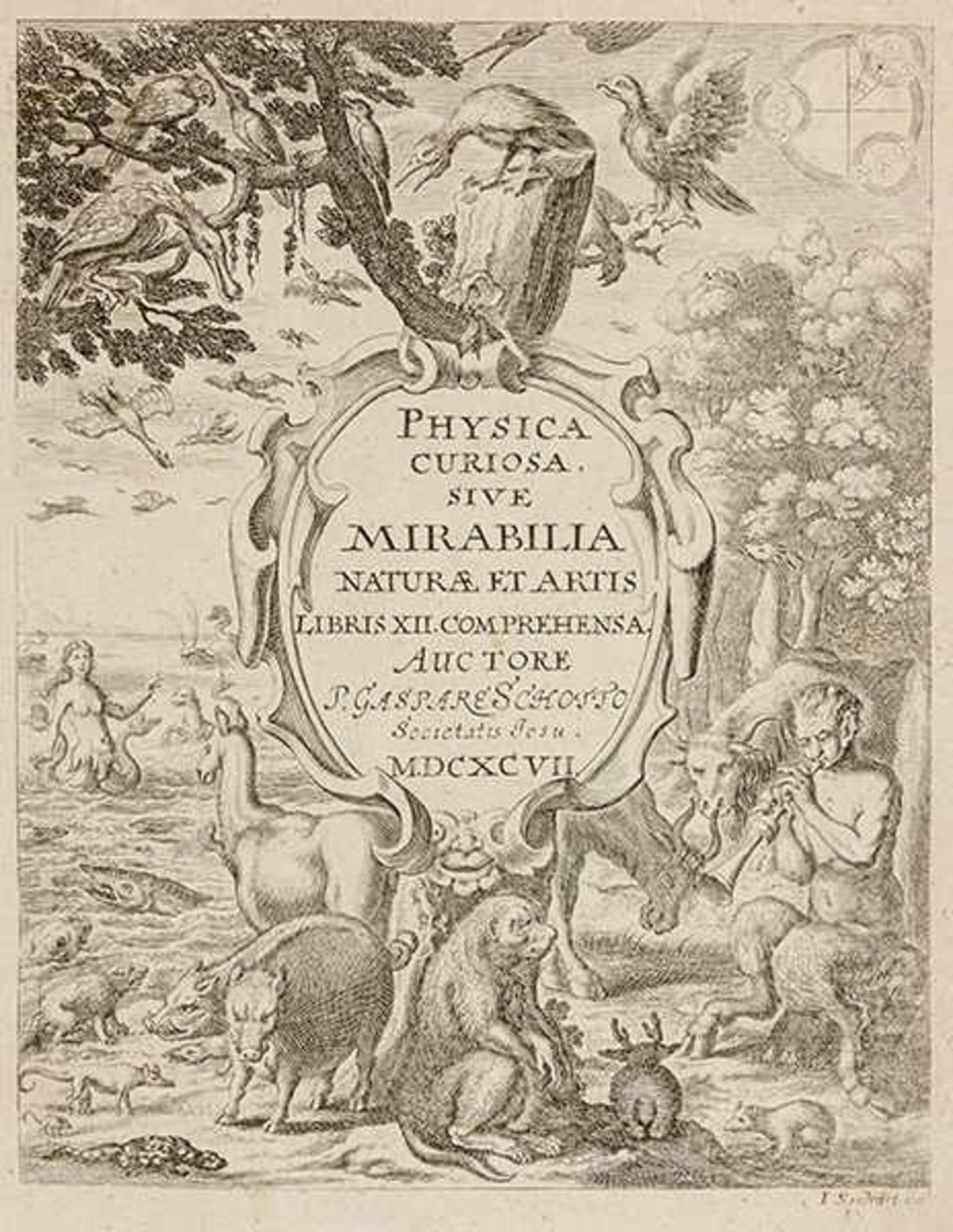 Allgemein - - Schott, Caspar. Physica curiosa, sive mirabilia naturae et artis libris XII. - Bild 2 aus 4