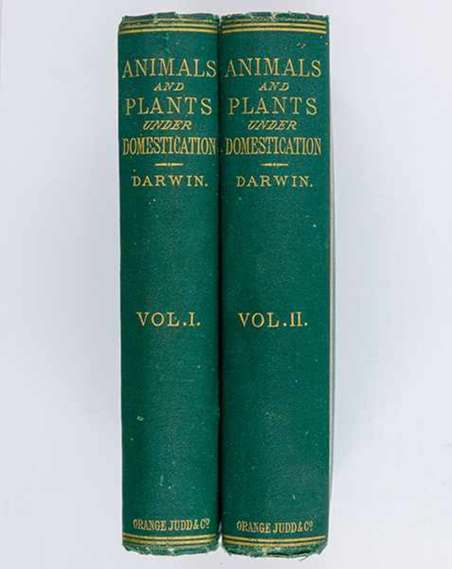 Allgemein - - Darwin, Charles. The variation of animals and plants under domestication. 2 Bände. Mit - Bild 2 aus 2