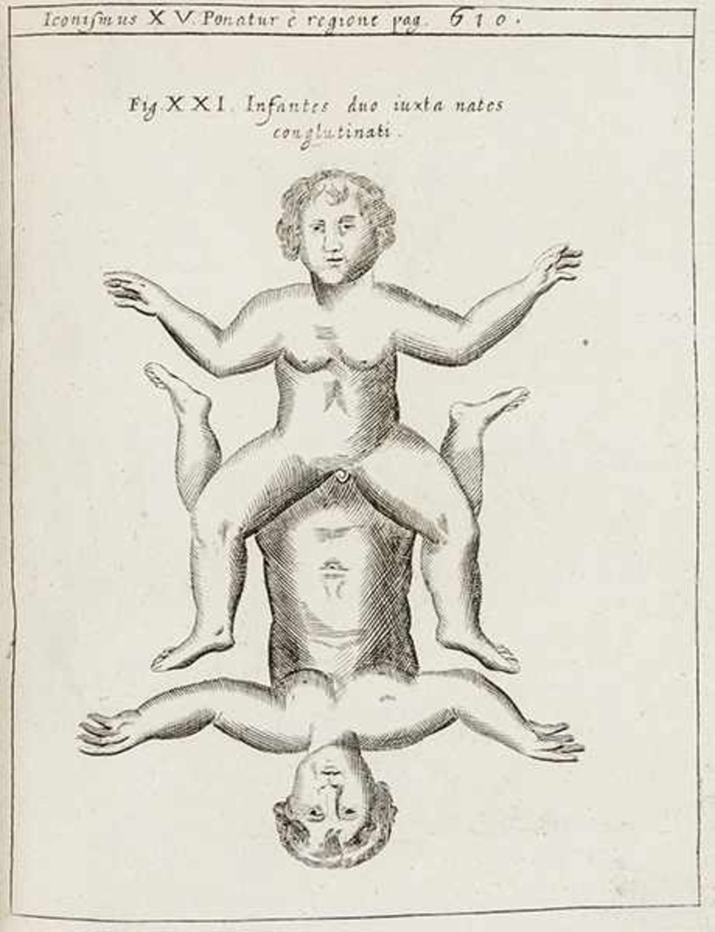 Allgemein - - Schott, Caspar. Physica curiosa, sive mirabilia naturae et artis libris XII. - Bild 4 aus 4