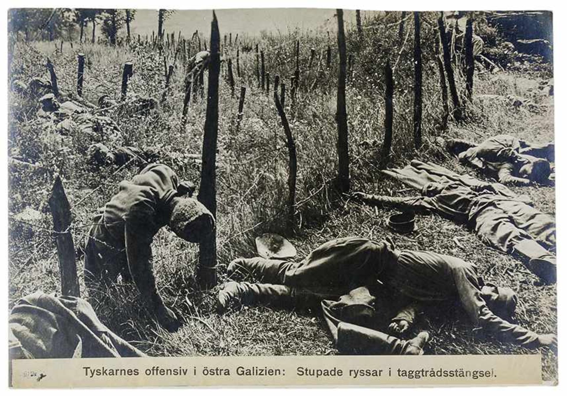 Varia - Weltkrieg 1914-1918 - - Zwei Alben aus dem Ersten Weltkrieg. Mit 204 Photopostkarten.