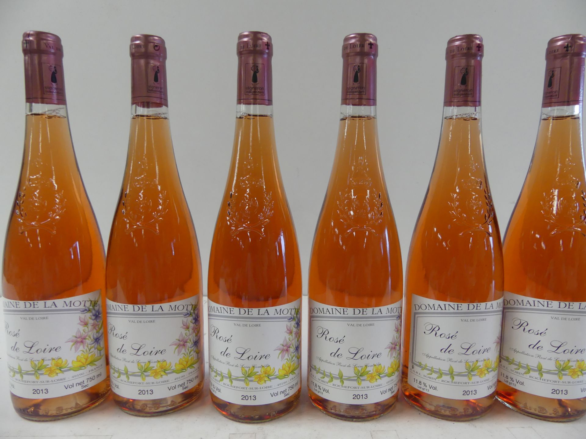 6 Rosé de Loire Sec Domaine de la Moette Récoltant Sorin 2013 -