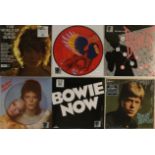 DAVID BOWIE / RSD COLLECTION - LPs.