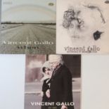 THE PJ HARVEY RECORD COLLECTION - VINCENT GALLO LPs/12".
