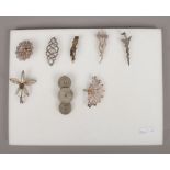 Eight brooches including silver examples and a mummified rodents foot brooch.