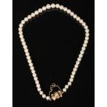 A pearl necklace with 14 carat gold clasp. Pearls each 8mm diameter, 42 grams gross weight, 49cm.