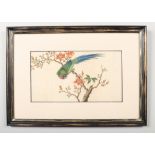 Three 19th century Chinese watercolours on pith paper in later frames. Each depicting a bird perched