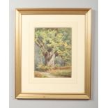 English school, early-mid 20th century, gilt framed watercolour. Woodland landscape, 33cm x 24cm.