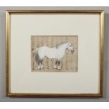 An early 19th century Indian miniature painting in later gilt frame. Study of a white horse on a