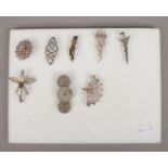 Eight brooches including silver examples and a marcarbe mummified rodents foot brooch.