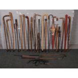 A large bundle of walking sticks to include bone handle, curved handle, parasol examples etc.