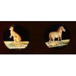 Eight Victorian Children's educational zoomorphic hand painted double magic lantern slides in