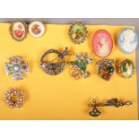 Twelve vintage costume jewellery brooches including Scottish examples.