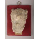 A Gothic carved stone postern dog corbel mounted on a hanging plaque. Old inked label reads 14th-