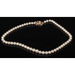 A pearl necklace with 14 carat gold clasp.