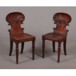 A pair of Regency mahogany hall chairs. With carved shell motif backrests and raised on tapering