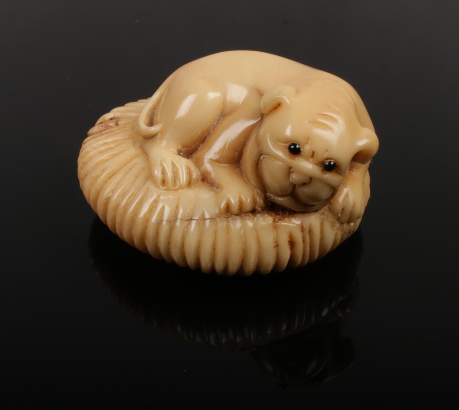 A signed tagua nut netsuke formed as a recumbent dog.