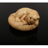 A signed tagua nut netsuke formed as a recumbent dog.