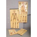 Four vintage St John's Ambulance educational medical posters.