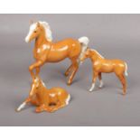 Beswick Palomino Prancing Arab Horse, No. 1261 approx 17.5 cm, to include Beswick Palomino foal