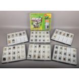 Seven display cases of bugs and insects in resin to include Rhinoceros beetle, wasp spider, giant