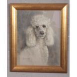 Andrew Bryson framed pastel. Portrait of a poodle. Signed and dated '97, 54cm x 43cm.