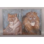 After Charles Edwin Baldock, A pair of unframed oil on canvas, portrait of a lion and one of a