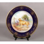 An Aynsley cabinet plate painted by J. Shaw. With a cobalt blue and gilt ground border, painted to