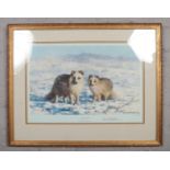 A signed limited edition David Shepherd print, Arctic Foxes, blind stamp for Soloman & Whitehead. (
