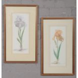 A pair of parcel gilt framed botanical furnishing prints. Limited edition, depicting orchids, signed