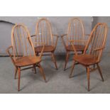 A set of 4 light oak Ercol dining chairs.