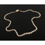 A string of graduated cultured pearls with 9ct gold and pearl clasp.