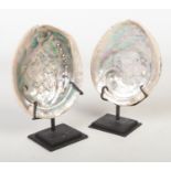 Two abalone shells mounted on metal stands, 14.5cm.