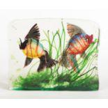 A vintage Murano glass aquarium block. Encasing a pair of colourful angel fish amidst aquatic weeds,