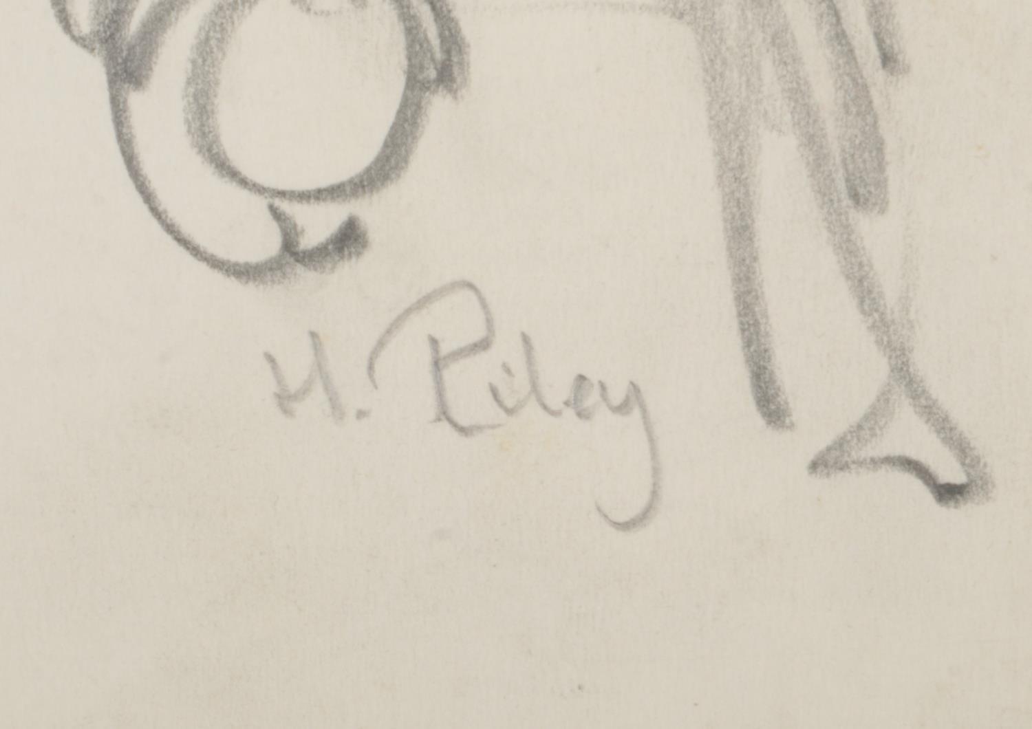 Harry Arthur Riley R.I. (1895-1966), six pencil/ ink sketches, various studies of animals to include - Image 2 of 2