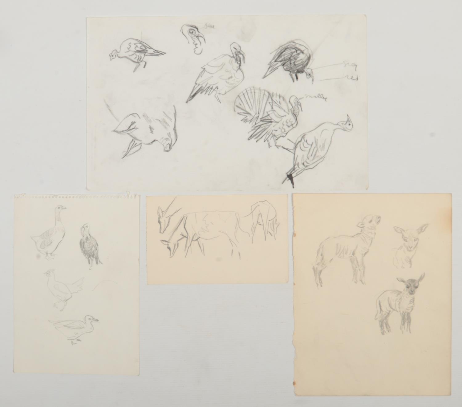 Harry Arthur Riley R.I. (1895-1966), four sketches, studies of farm animals. (Postage available on