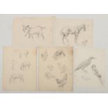 Harry Arthur Riley R.I. (1895-1966), five pencil sketches, various studies of animals, to include