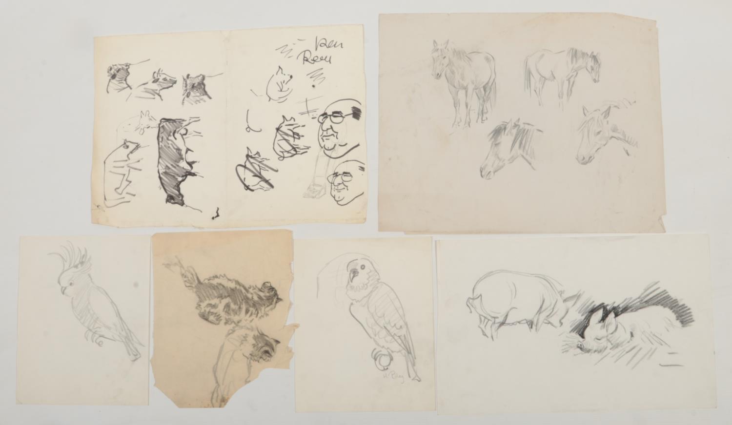 Harry Arthur Riley R.I. (1895-1966), six pencil/ ink sketches, various studies of animals to include