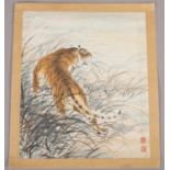 After Zhang Shanzi; A painted Chinese ink and water colour on paper of a tiger. (35cm x 30cm)
